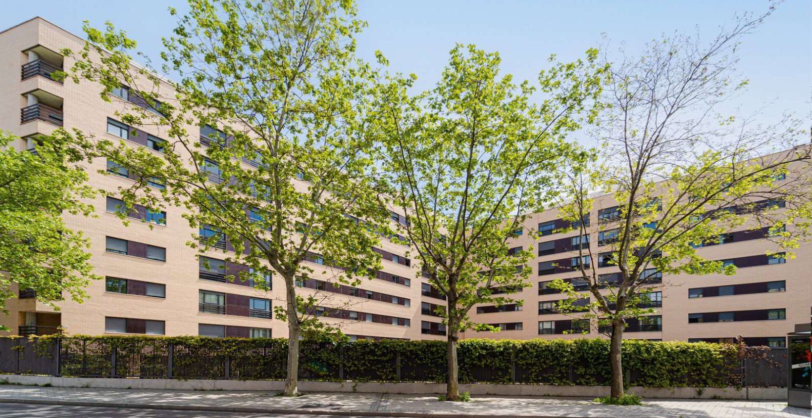 _DSC2256-Editar